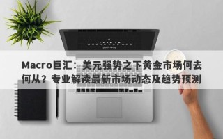 Macro巨汇：美元强势之下黄金市场何去何从？专业解读最新市场动态及趋势预测