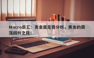 Macro巨汇：贵金属走势分析，黄金的震荡回升之路！