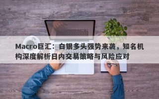 Macro巨汇：白银多头强势来袭，知名机构深度解析日内交易策略与风险应对
