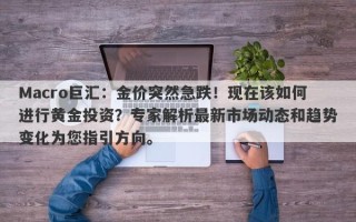 Macro巨汇：金价突然急跌！现在该如何进行黄金投资？专家解析最新市场动态和趋势变化为您指引方向。