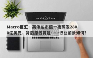 Macro巨汇：英伟达市值一夜蒸发2800亿美元，背后原因竟是……行业前景如何？
