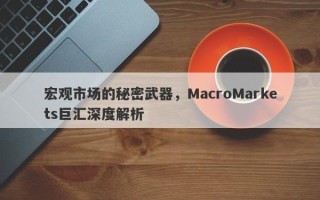 宏观市场的秘密武器，MacroMarkets巨汇深度解析