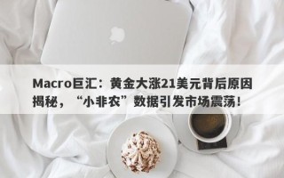 Macro巨汇：黄金大涨21美元背后原因揭秘，“小非农”数据引发市场震荡！
