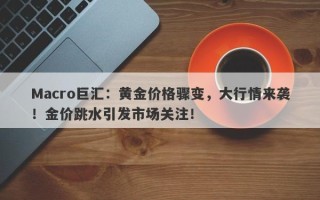 Macro巨汇：黄金价格骤变，大行情来袭！金价跳水引发市场关注！