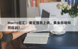 Macro巨汇：美元强势上扬，黄金市场如何应战？