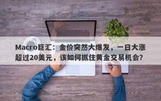 Macro巨汇：金价突然大爆发，一日大涨超过20美元，该如何抓住黄金交易机会？