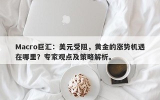 Macro巨汇：美元受阻，黄金的涨势机遇在哪里？专家观点及策略解析。