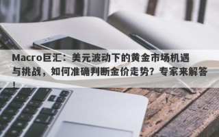 Macro巨汇：美元波动下的黄金市场机遇与挑战，如何准确判断金价走势？专家来解答！
