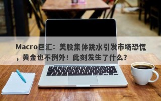 Macro巨汇：美股集体跳水引发市场恐慌，黄金也不例外！此刻发生了什么？