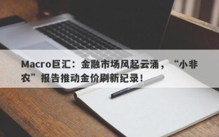 Macro巨汇：金融市场风起云涌，“小非农”报告推动金价刷新纪录！