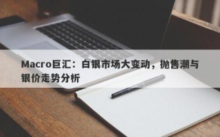Macro巨汇：白银市场大变动，抛售潮与银价走势分析