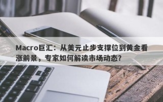 Macro巨汇：从美元止步支撑位到黄金看涨前景，专家如何解读市场动态？