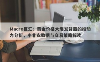 Macro巨汇：黄金价格大爆发背后的推动力分析，小非农数据与交易策略解读