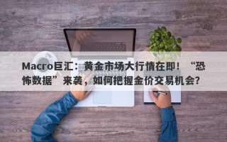 Macro巨汇：黄金市场大行情在即！“恐怖数据”来袭，如何把握金价交易机会？