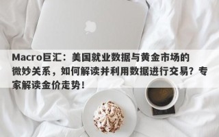 Macro巨汇：美国就业数据与黄金市场的微妙关系，如何解读并利用数据进行交易？专家解读金价走势！
