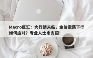 Macro巨汇：大行情来临，金价震荡下行如何应对？专业人士来支招！