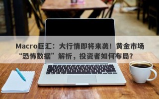 Macro巨汇：大行情即将来袭！黄金市场“恐怖数据”解析，投资者如何布局？