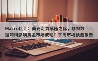Macro巨汇：美元走势承压之际，非农数据如何影响黄金市场波动？下周市场预测报告