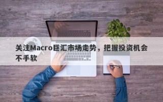 关注Macro巨汇市场走势，把握投资机会不手软