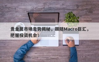 贵金属市场走势揭秘，跟随Macro巨汇，把握投资机会！