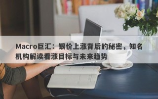 Macro巨汇：银价上涨背后的秘密，知名机构解读看涨目标与未来趋势