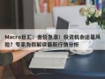 Macro巨汇：金价急涨！投资机会还是风险？专家为你解读最新行情分析