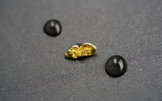 Macro巨汇平台全面解析：新手入门与资深投资者的优质选择
