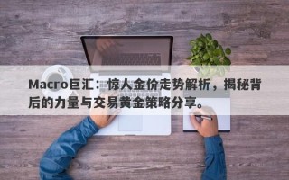 Macro巨汇：惊人金价走势解析，揭秘背后的力量与交易黄金策略分享。