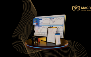 解锁财富新契机：Macro Global Markets联盟计划深度剖析