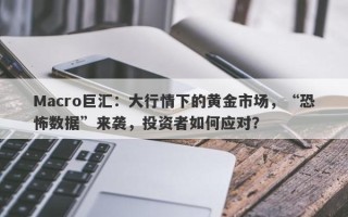Macro巨汇：大行情下的黄金市场，“恐怖数据”来袭，投资者如何应对？
