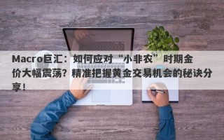 Macro巨汇：如何应对“小非农”时期金价大幅震荡？精准把握黄金交易机会的秘诀分享！