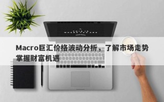 Macro巨汇价格波动分析，了解市场走势掌握财富机遇