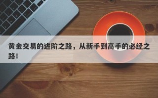 黄金交易的进阶之路，从新手到高手的必经之路！