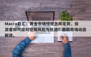 Macro巨汇：黄金市场惊现急跌走势，投资者如何应对短期风险与机遇？最新市场动态解读。