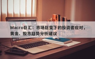 Macro巨汇：市场巨变下的投资者应对，黄金、股市趋势分析建议