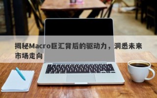 揭秘Macro巨汇背后的驱动力，洞悉未来市场走向