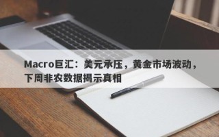 Macro巨汇：美元承压，黄金市场波动，下周非农数据揭示真相