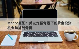 Macro巨汇：美元走强背景下的黄金投资机会与挑战分析