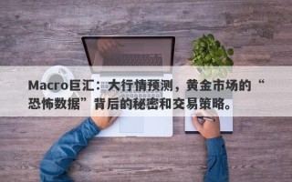 Macro巨汇：大行情预测，黄金市场的“恐怖数据”背后的秘密和交易策略。