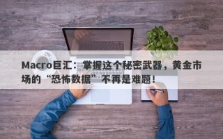 Macro巨汇：掌握这个秘密武器，黄金市场的“恐怖数据”不再是难题！