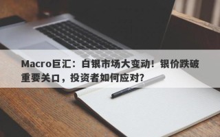 Macro巨汇：白银市场大变动！银价跌破重要关口，投资者如何应对？