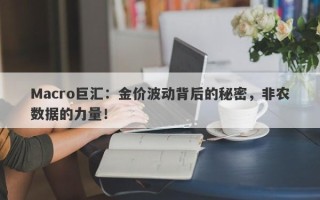 Macro巨汇：金价波动背后的秘密，非农数据的力量！