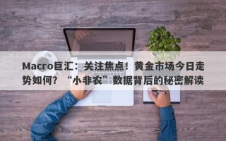 Macro巨汇：关注焦点！黄金市场今日走势如何？“小非农”数据背后的秘密解读