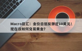 Macro巨汇：金价日低反弹近10美元！现在该如何交易黄金？