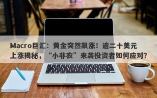 Macro巨汇：黄金突然飙涨！逾二十美元上涨揭秘，“小非农”来袭投资者如何应对？
