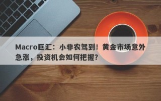 Macro巨汇：小非农驾到！黄金市场意外急涨，投资机会如何把握？