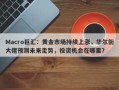 Macro巨汇：黄金市场持续上涨，华尔街大佬预测未来走势，投资机会在哪里？
