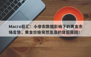 Macro巨汇：小非农数据影响下的黄金市场走势，黄金价格突然急涨的背后原因！