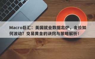 Macro巨汇：美国就业数据出炉，金价如何波动？交易黄金的诀窍与策略解析！