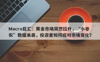 Macro巨汇：黄金市场突然拉升，“小非农”数据来袭，投资者如何应对市场变化？